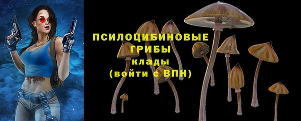 первитин Верхний Тагил