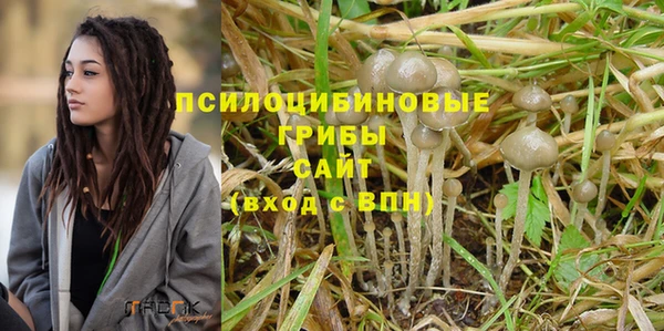 спиды Бугульма
