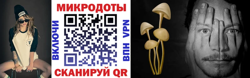 Псилоцибиновые грибы Magic Shrooms  Купить где  Лобня 